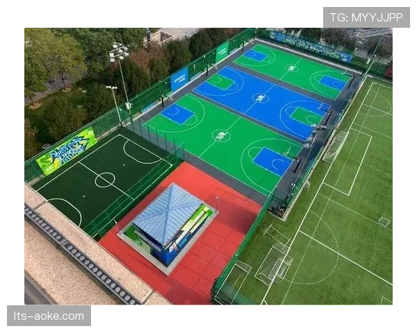 CBA“篮球公园”项目新增三座城市球场,推动民间篮球发展 CBA“篮球公园”项目新增三座城市球场,推动民间篮球发展